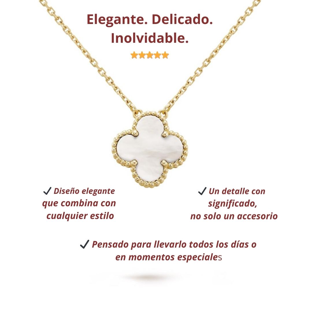 Pack Detalles Amor que Enamoran Rosa en Estuche + Collar Elegante